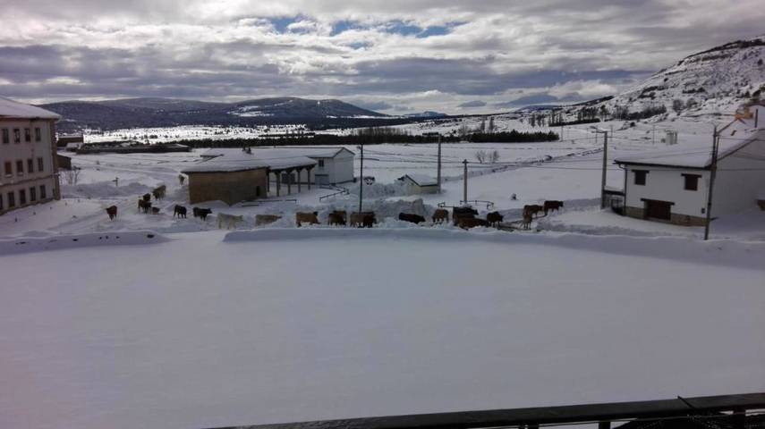 Casa rural para 6 personas, con balcón y vistas en Gúdar-Javalambre - 4