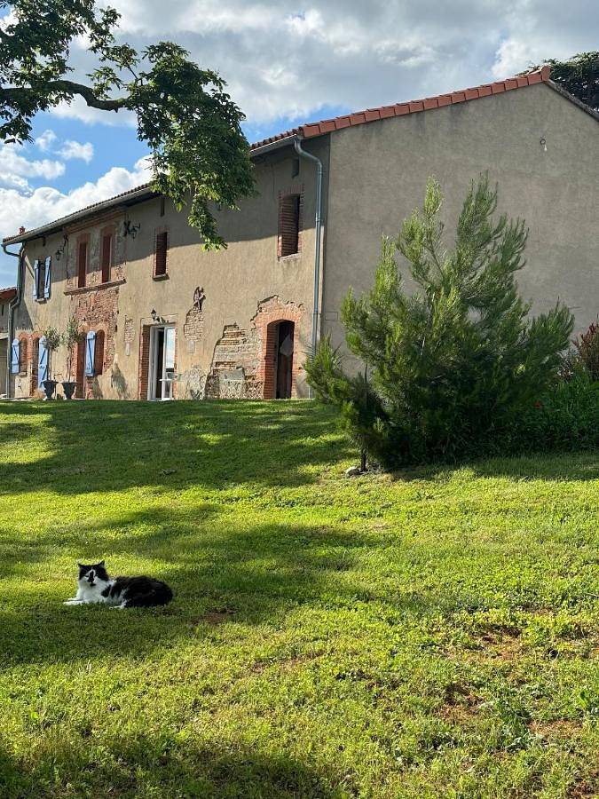 Gîte pour 4 personnes, avec jardin et vue, animaux acceptés à Cintegabelle - 4