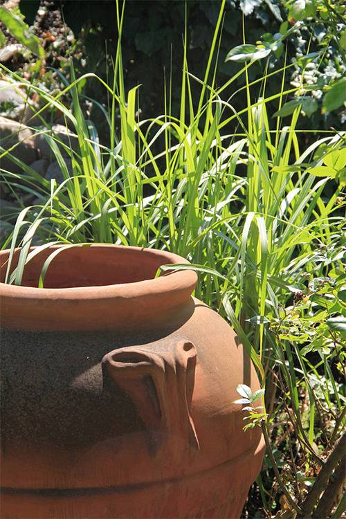 Ganze Ferienwohnung, Ferienwohnungen Isabella Kehrer - 2-Zimmer-Fewo "live", 45 m² in Radolfzell, Radolfzell am Bodensee