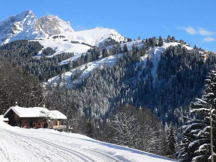 Appartement entier, 3 Pièces 6 Personnes in Villars-sur-Ollon, Ollon (Villars-sur-Ollon)