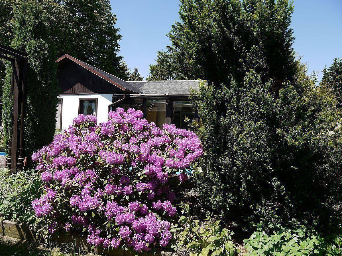 Ferienhaus in Maxen mit Privatem Pool in Müglitztal, Sächsisches Elbland