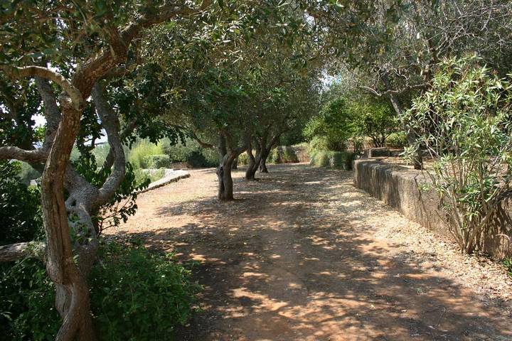 Location de vacances pour 5 personnes, avec vue et jardin, animaux acceptés dans Marina Serra - 2