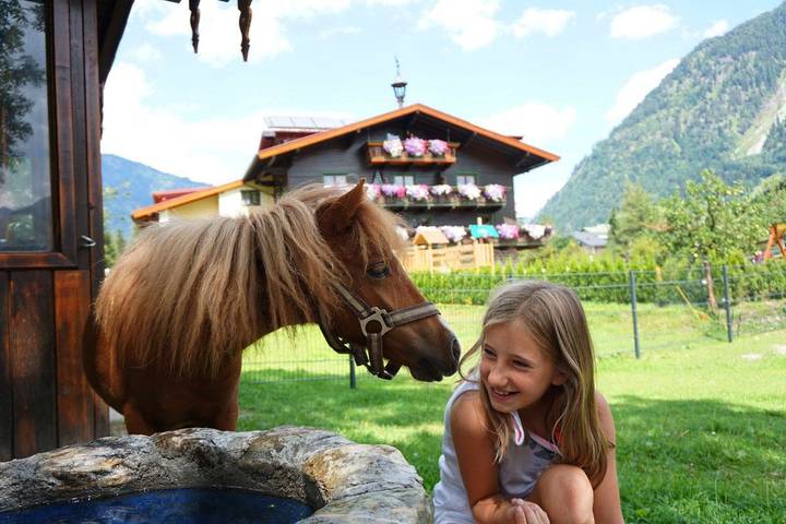 Ganze Ferienwohnung, Schlossalm Blick 20 m² in Hohe Tauern, Bad Hofgastein