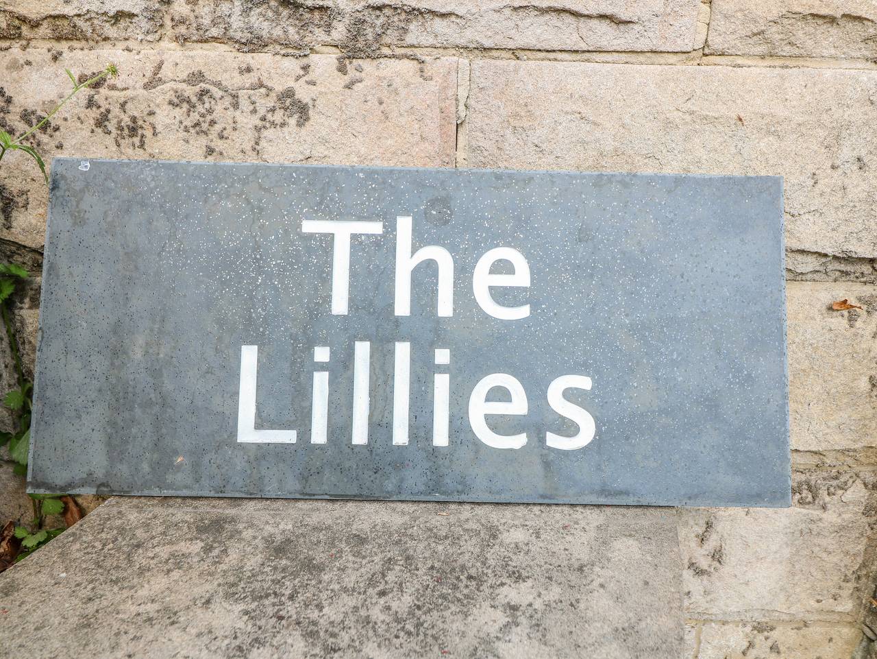 The Lillies in Northwood and Tinkersley, Derbyshire