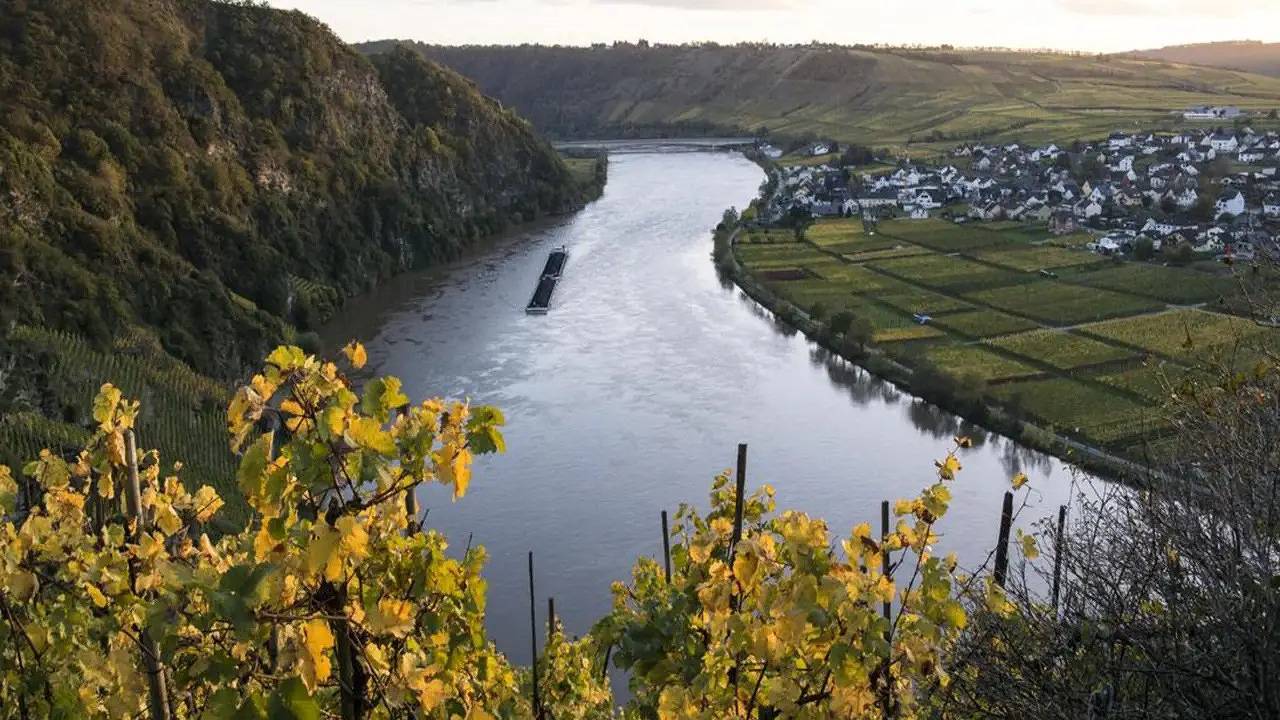 Ganze Ferienwohnung, Ferienwohnung für 3 Personen (40 m²) in Piesport in Piesport, Bernkastel-Kues & Umgebung