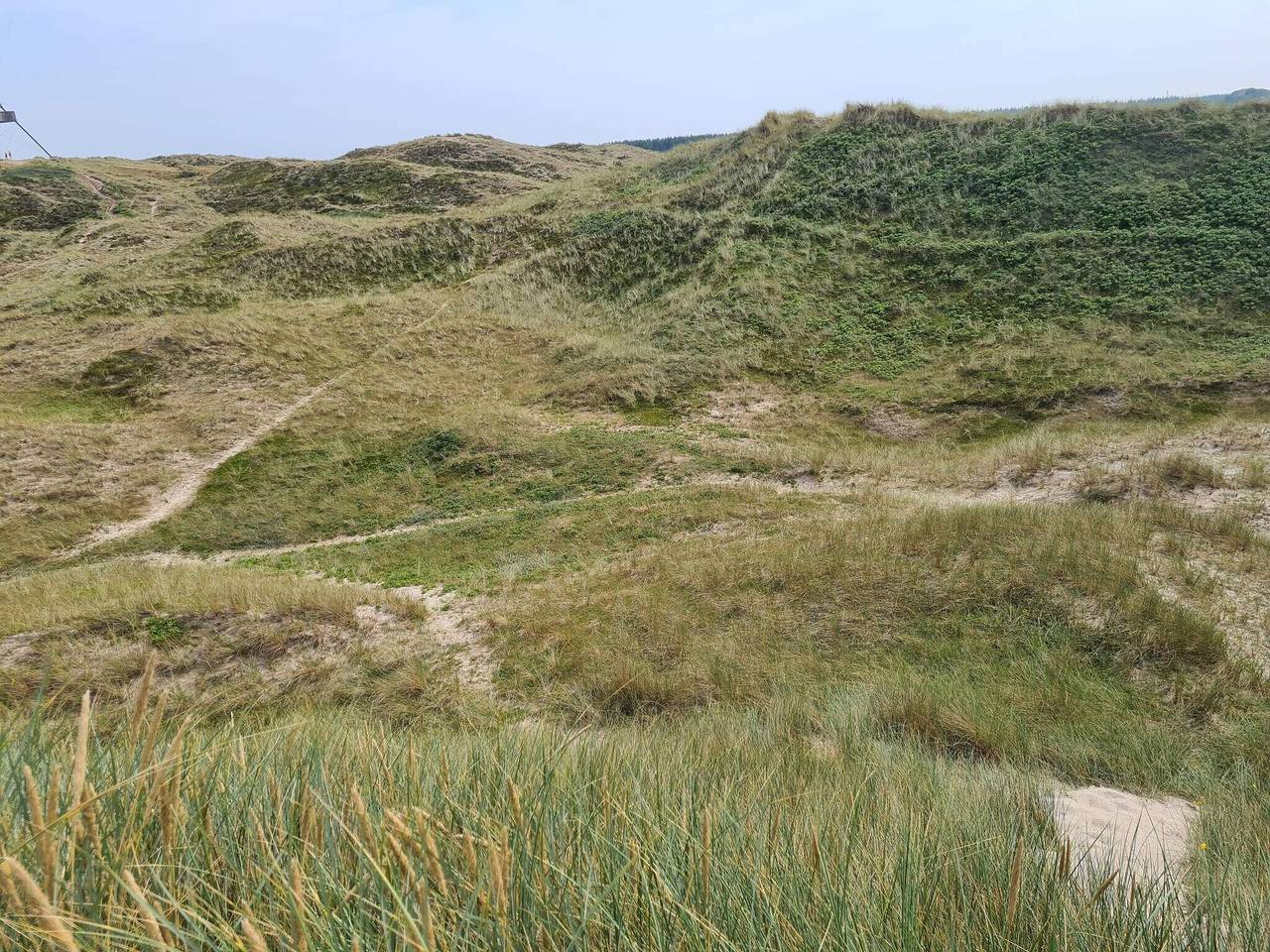 5 person ferie hjemme i Skagen-By Traum in Skagen, Tannisbucht