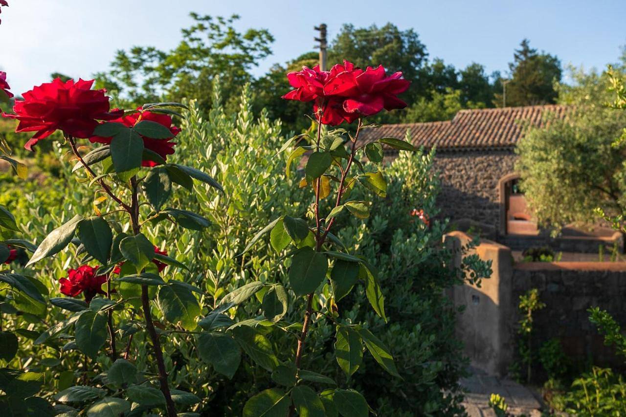 Two-Bedroom Villa in Viagrande, Etna