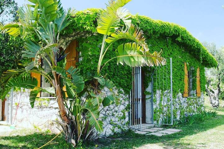 Villa per 8 persone, con giardino, con animali domestici a Vieste