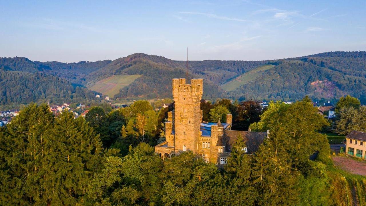 Saar Castle - cozy Mansion near vineyard in Serrig, Landkreis Trier-Saarburg