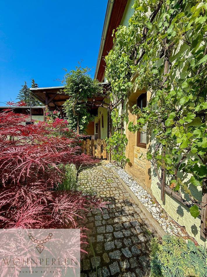 Ferienhaus für 6 Personen, mit Balkon/Terrasse und Terrasse im Osterzgebirge - 3
