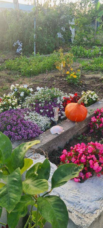 Appartement entier, Joli T1 bis fonctionnel à Montussan in Montussan, Région de Bordeaux