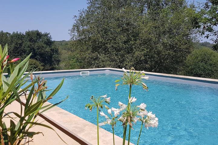 Gîte pour 8 personnes, avec piscine ainsi que jardin et jacuzzi à Bourrou
