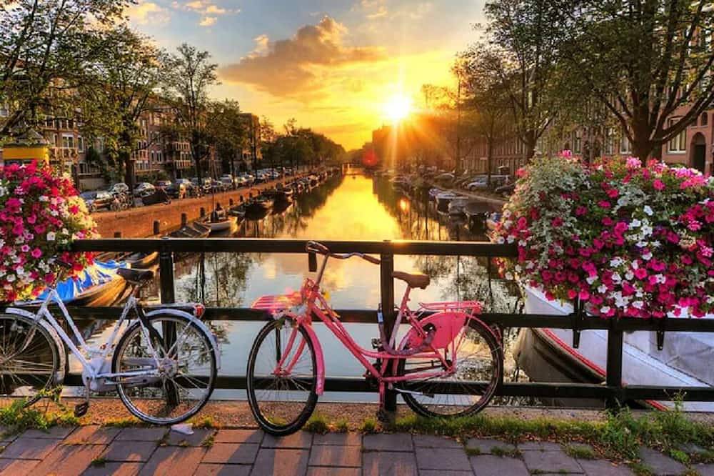 Ferienhaus für 6 Personen in Holländische Küste