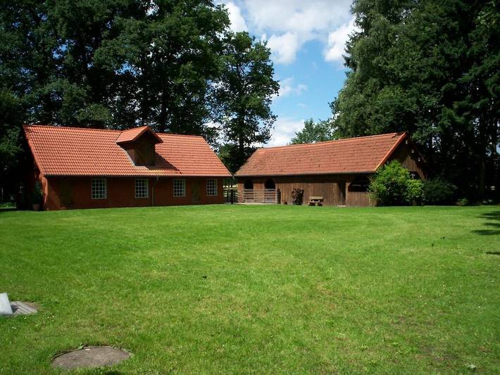 Ferienhaus für 4 Personen, mit Terrasse und Garten in Schneverdingen - 3
