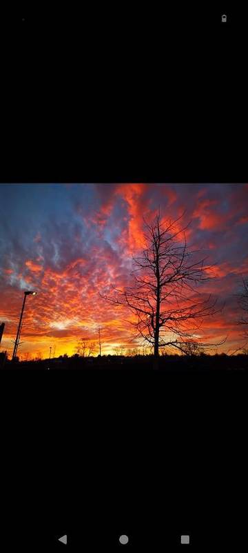 Gîte pour 2 personnes, avec jardin et balcon à Londres