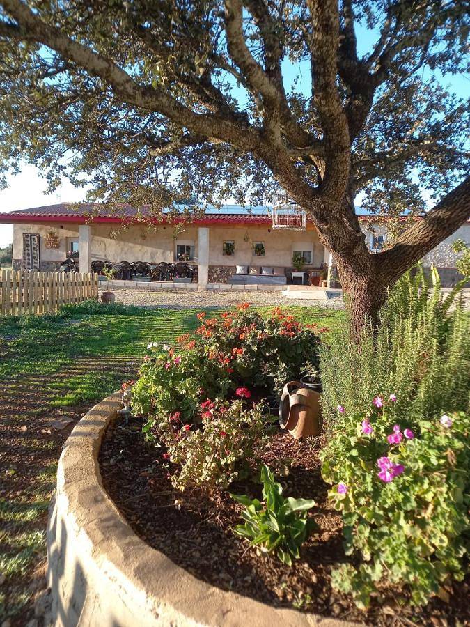 Casa Rural La Hoja El Valle in Valdecaballeros, Provincia de Badajoz