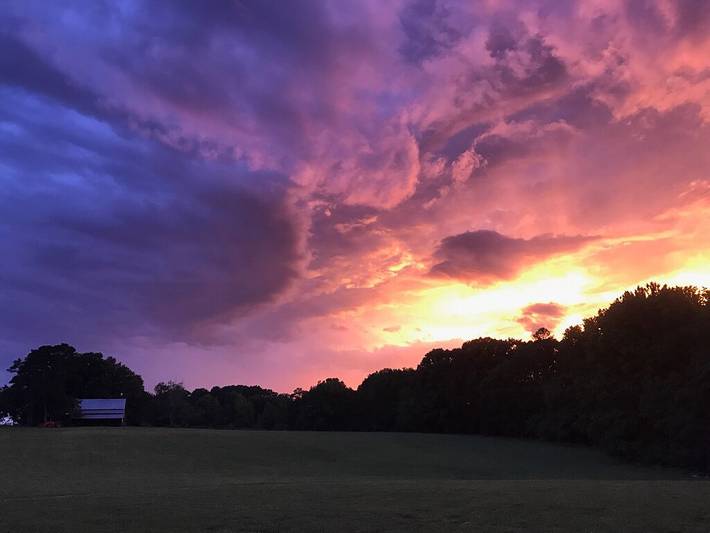 Camping für 50 Personen, mit Terrasse und Garten, mit Haustier in North Carolina