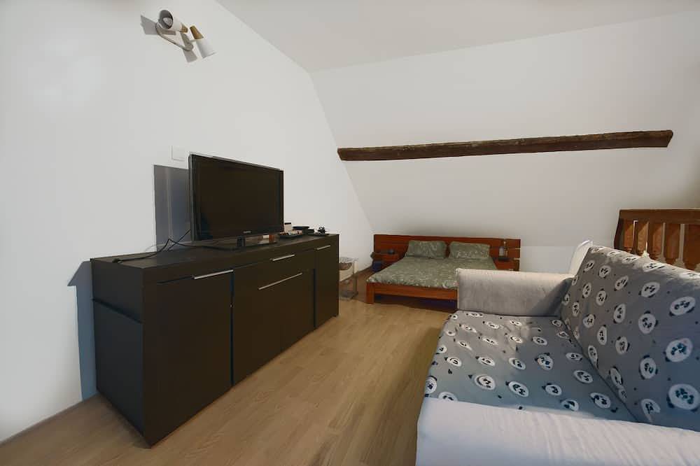 T2, 48 M2 à proximité des thermes in Aix-les-Bains, Région de Chambéry