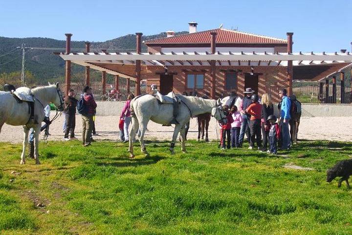 Casa de vacaciones para 10 personas, con piscina y terraza además de vistas y jardín, Se admiten mascotas en Comarca de Guadix - 4