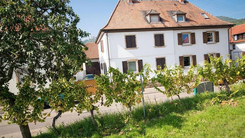 Ferienwohnung für 4 Personen, mit Garten - 1