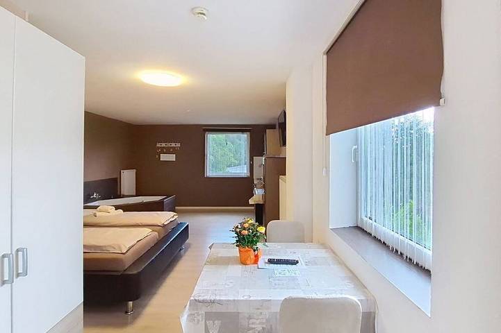 Ganze Wohnung, Schöne Wohnung für 2 Gäste mit  W-Lan, Tv, Terrasse und Haustiere erlaubt in Klaffer am Hochficht, Bezirk Rohrbach