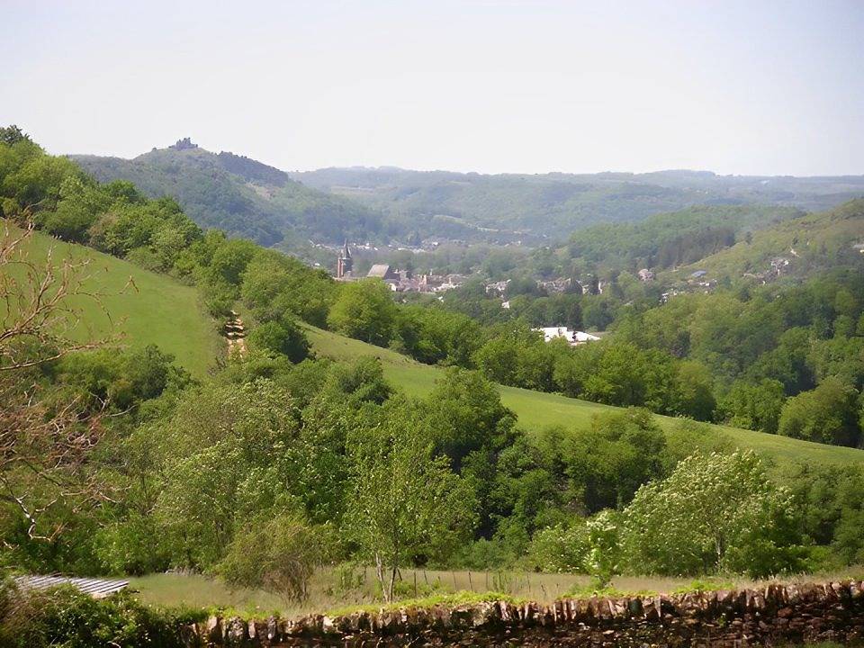 Maison La Truffière in Castelnau-de-Mandailles, Massif central