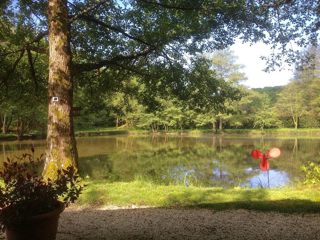 Chalet Clarimaud au calme en Alsace au bord d'un étang de pêche in Bréchaumont, Région d'Altkirch