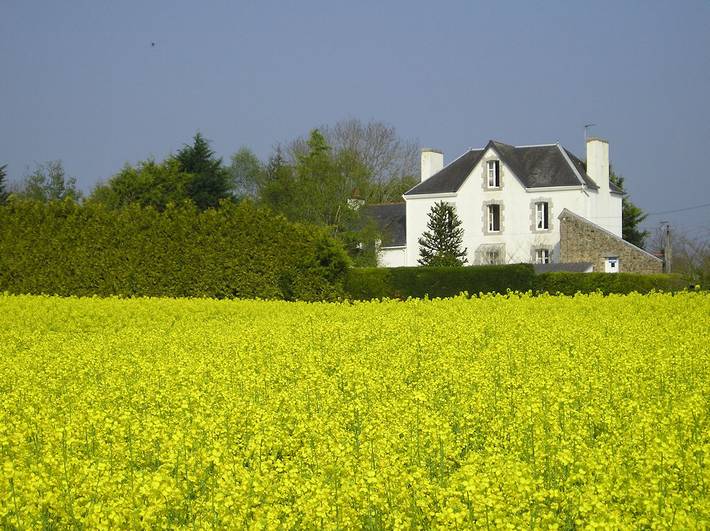 Chambre d’hôte pour 3 personnes, avec jardin - 1