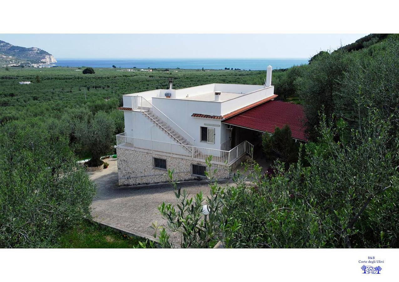 B&B Corte degli Ulivi in Mattinata, Gargano