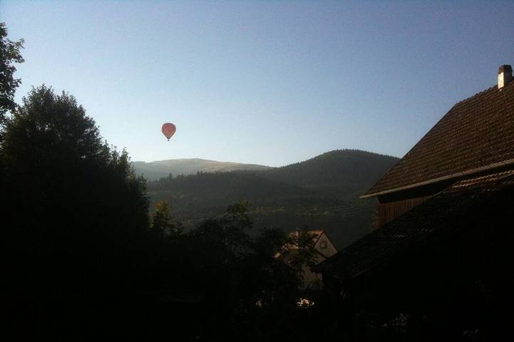 Location de vacances pour 2 personnes, avec jardin et balcon à Muhlbach-sur-Munster