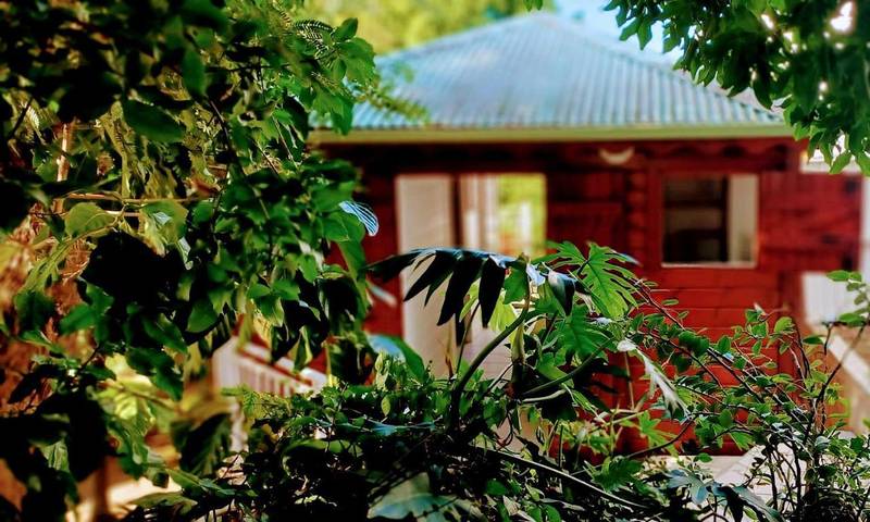 Location de vacances pour 2 personnes, avec terrasse et jardin à Baillif - 2