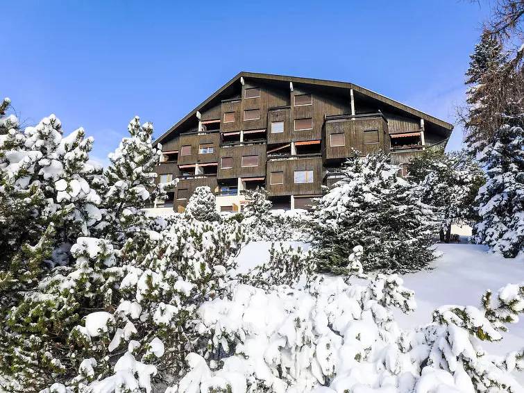 Ganze Wohnung, 1 Zimmer 2 Personen in Crans-Montana, Sion - Sierre & Umgebung