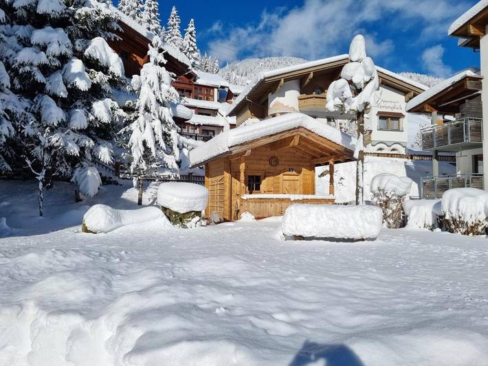 Ferienwohnung für 4 Personen, mit Garten und Ausblick in Gerlos - 4