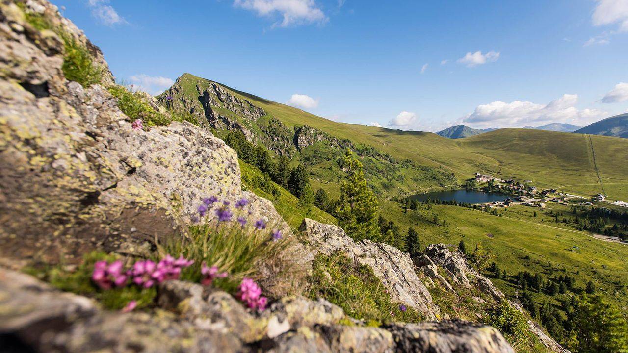 Ganze Ferienwohnung, Ferienwohnung für 4 Personen (45 m²) in Patergassen in Reichenau (Österreich), Nockberge
