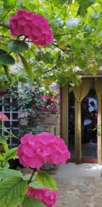 Alojamiento y desayuno para 2 personas, con jardín y vistas, Se admiten mascotas en Valle de Tena - 2