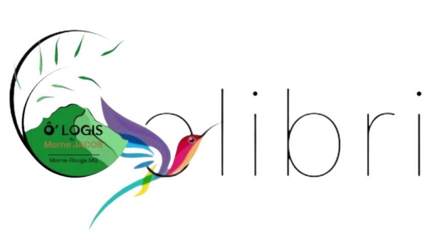 Gîte pour 2 personnes, avec jacuzzi et jardin à Le Morne-Rouge - 4