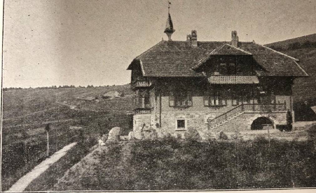Hotel & Chalets Herrihof - Junior Suite in Todtnauberg (Todtnau), Todtnau