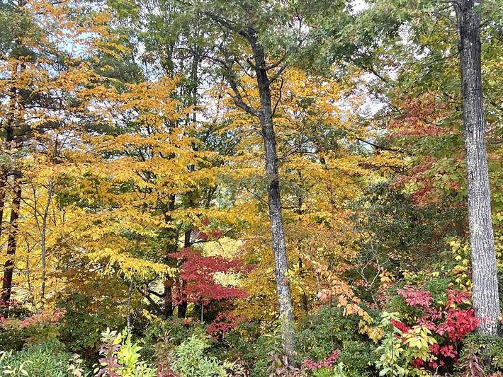 Blockhütte für 6 Personen, mit Terrasse und Garten sowie Whirlpool - 1
