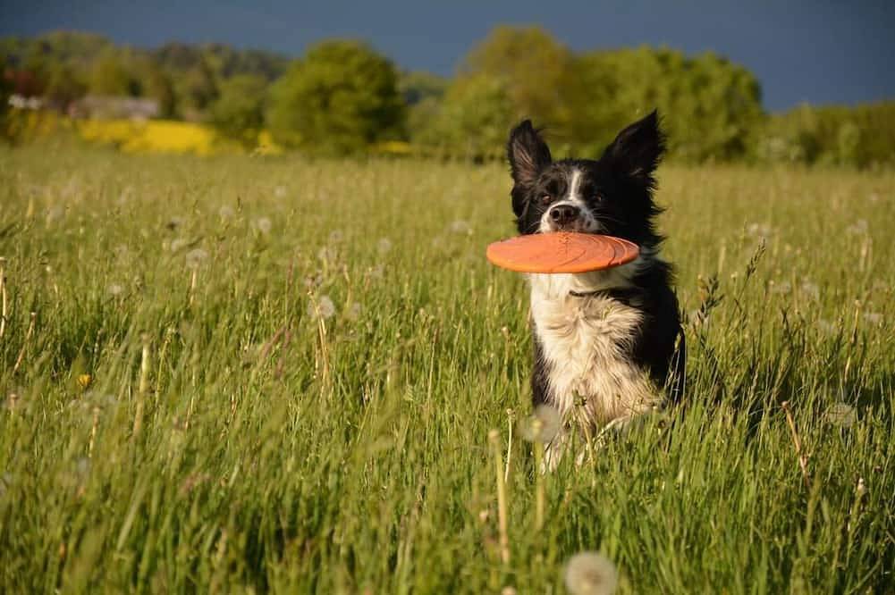 Gemütliche Ferienwohnung in ruhiger Lage nahe der Schlei in Rieseby, Rendsburg-Eckernförde