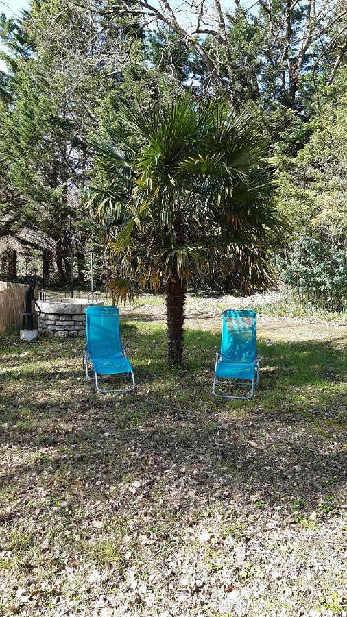 Location de vacances pour 8 personnes, avec jardin à Saint-Laurent-de-la-Prée - 3