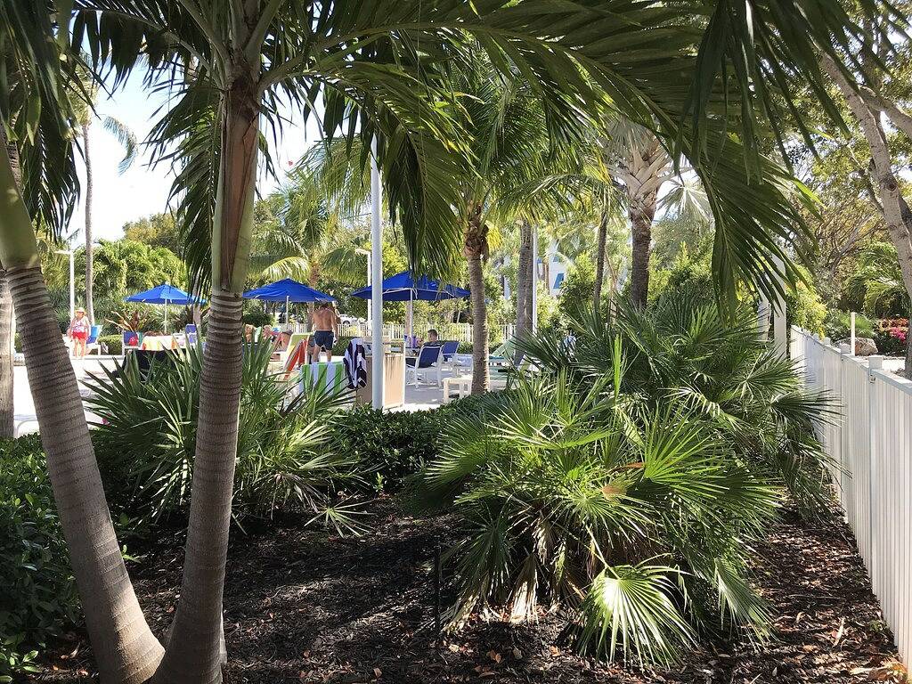 Ganze Wohnung, Keys Deal w/Cafe & Pool Bar! Up to 20% Off Beachfront 1Bd Sleeps 4. in Tavernier, Monroe County