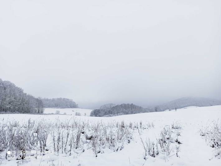 Ferienwohnung für 3 Personen, mit Garten in Arnsberg - 2