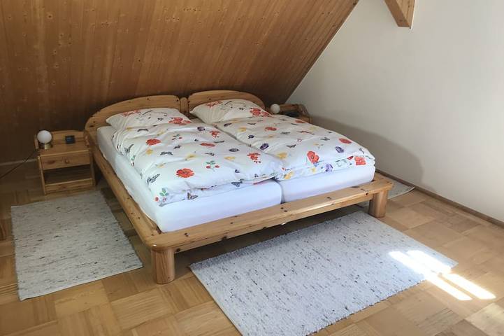 Ferienhaus für 8 Personen, mit Sauna und Garten in Klingenthal - 2