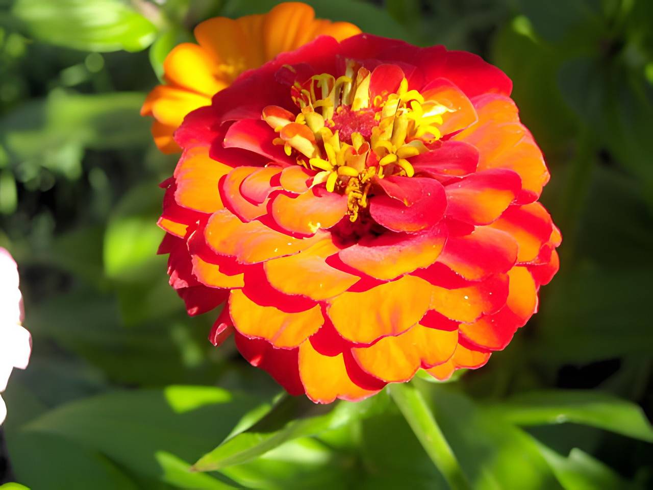 Chambre d’hôtes « La Chambre du Jardinier » avec terrasse, jardin partagés et Wi-Fi in Metz-Campagne