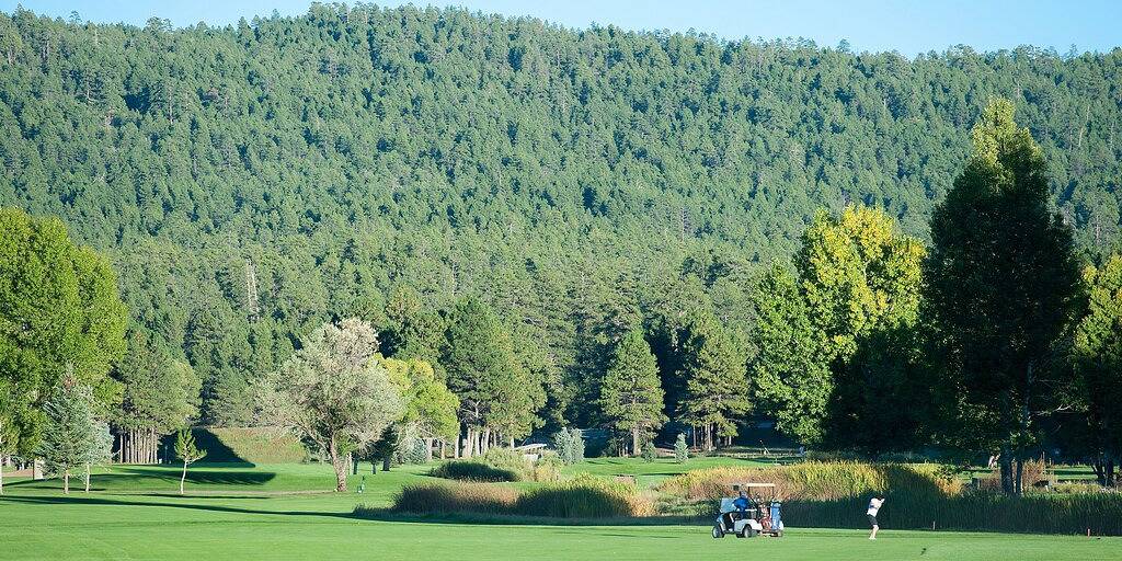 Friedliche Hütte im Munds Canyon; Genieße den offenen Wald von den Decks aus in Munds Park, Oak Creek Canyon