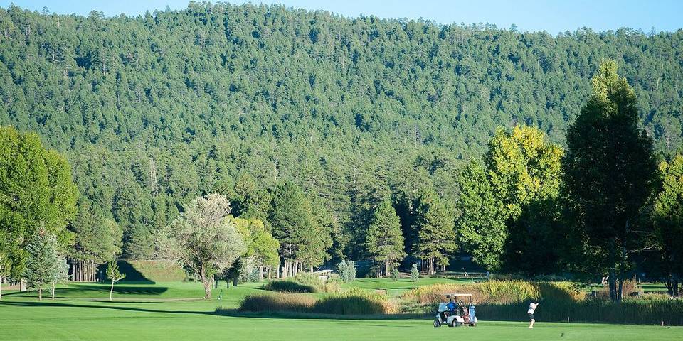 Blockhütte für 8 Personen, mit Terrasse - 1