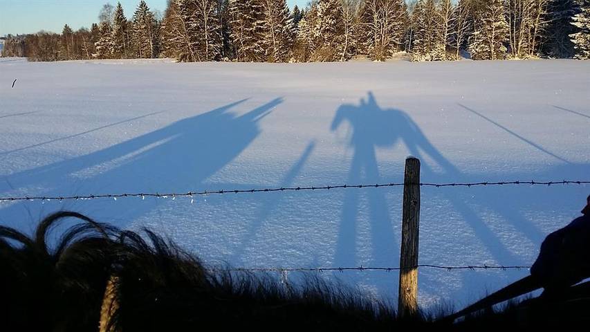 Ferienwohnung für 4 Personen, mit Terrasse in Rettenberg - 4