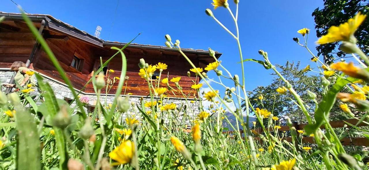 Appartement entier, Maison lo for - casa indipendente in Torgnon, Commune de Torgnon