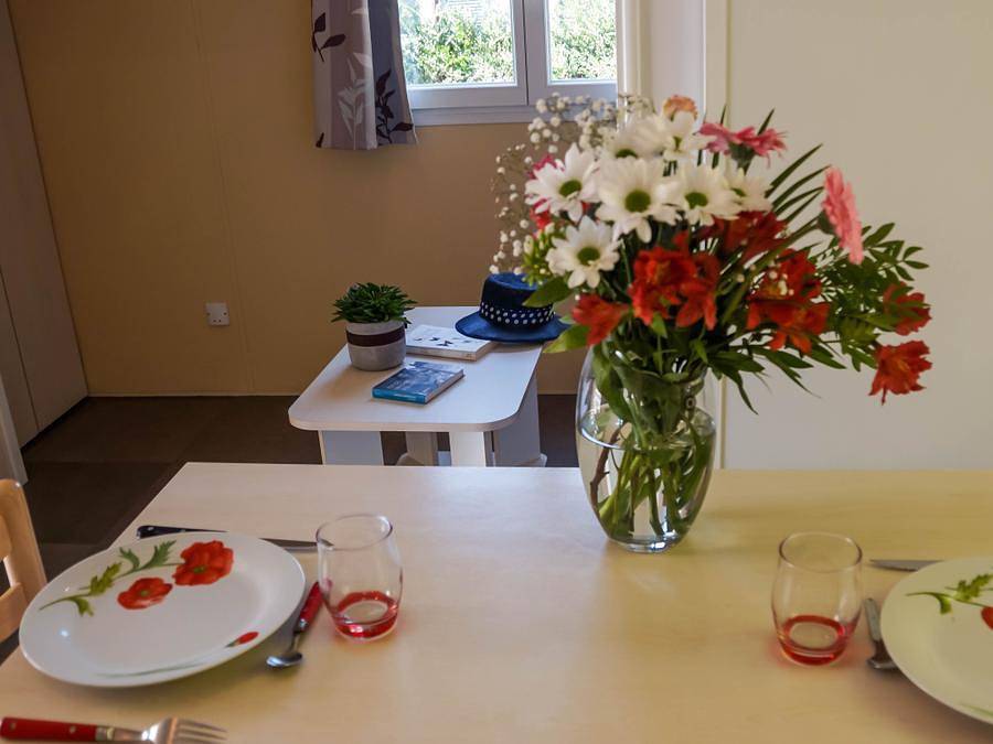 Camping Le Lagon Bleu - Mobilhome 2 personas - Casa móvil Bikini de 1 dormitorio con terraza in Notre-Dame-de-Monts, Vandea