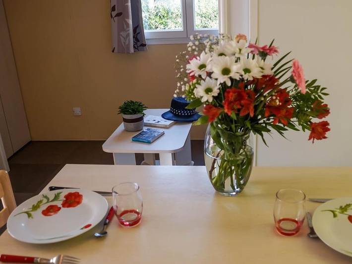 Camping Le Lagon Bleu - Mobilheim 2 personen - Mobilheim „Bikini“ mit 1 Schlafzimmer und Terrasse für 1–2 Personen in Notre-Dame-de-Monts, Vendée